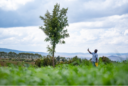 Ciziten Science using Regreening App Regreening